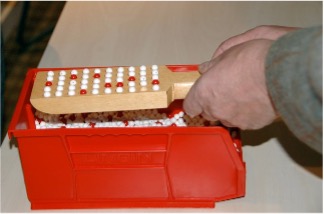 Red Beads Experiment apparatus: a red box with white and red beads, and a paddle with circular depressions.
